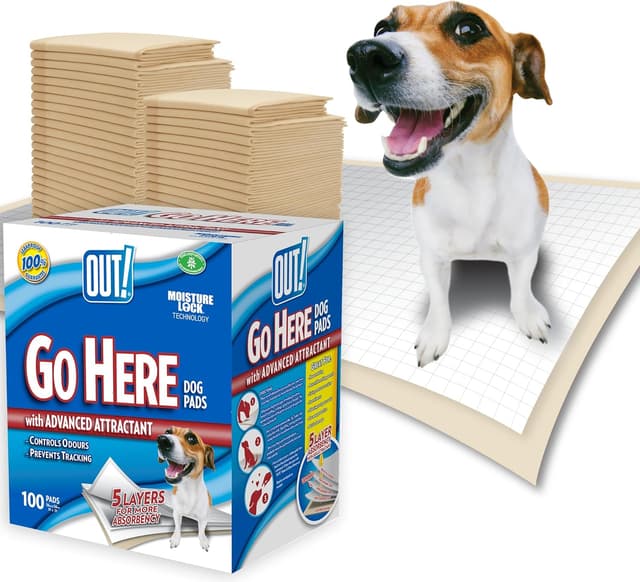 Imagen de OUT! Allez ici Coussinets absorbants 53x55 cm en OfertitasTOP