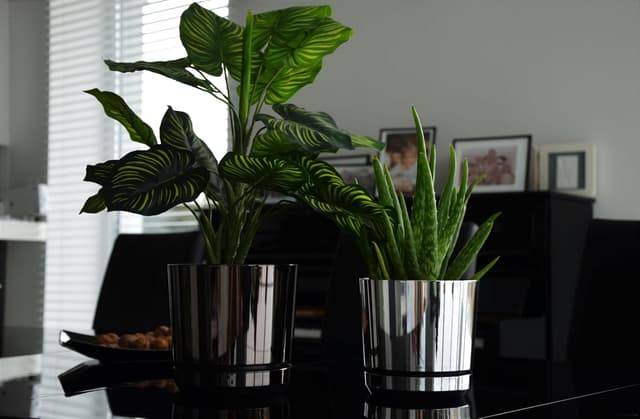 Thumbnail 2 de KERD Set Blumentöpfe 16 cm Glänzend Schwarz