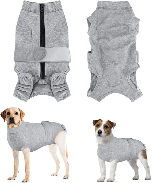 Detalle de Eyein Hundebody nach OP als Wundschutzanzug für Hunde mit Reißverschluss & Klett Gürtel (Grau, M)