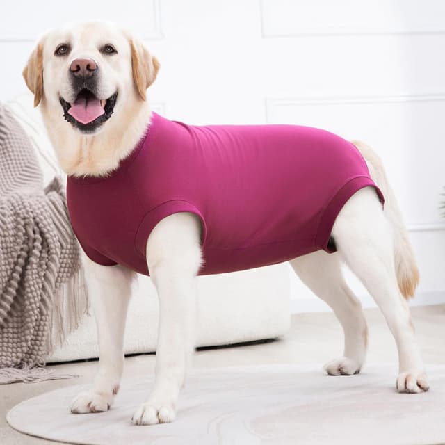 Thumbnail 6 de Axcimond Dog Surgery Recovery Suit – post-op medical pet shirt recovery for male & female dogs