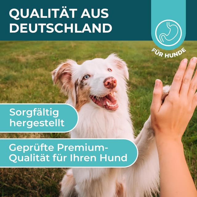 Thumbnail 6 de Magen-Darm Pulver für Hunde (250 g) – Präbiotika & Probiotika mit Flohsamenschalen
