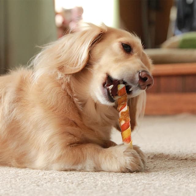 Thumbnail 6 de Nobleza L12.5 cm Bastoncini masticabili per cani 720 g