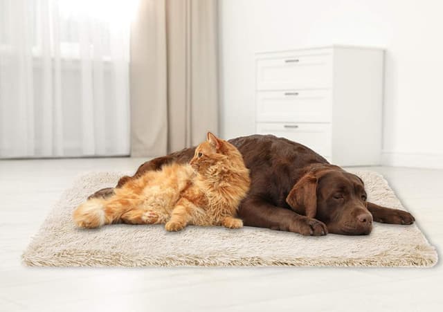 Detalle 2 de CHMMY couverture en peluche double face pour chien et chat, lavable – Beige (taille S 56×36 cm)