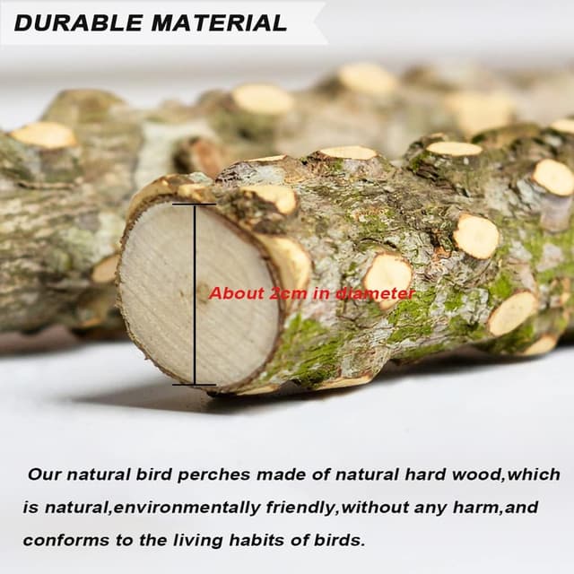 Thumbnail 6 de Natural Wood Bird Perch Set 6 pcs for Small Birds 🐦