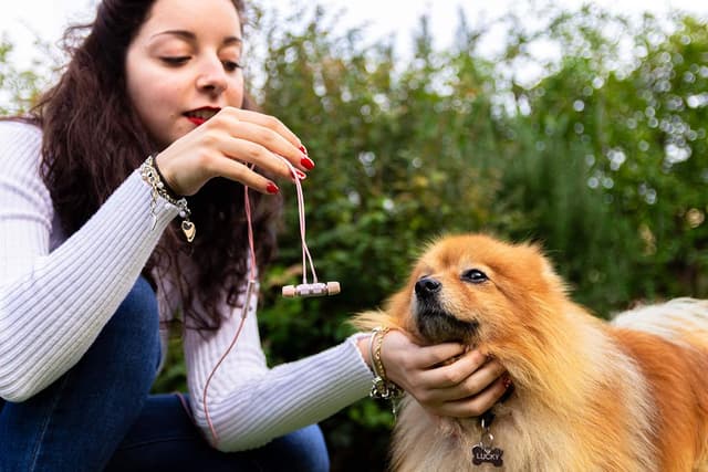 Detalle 2 de LUDOS Ultra Wired Earbuds (In-Ear) with Microphone, Noise Isolating, Memory Foam Tips, 5-Year Warranty — Pink