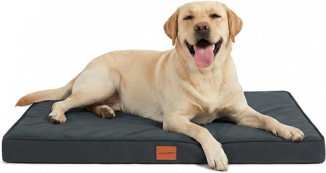 Thumbnail 6 de WAVVE Panier chien grande taille orthopédique déhoussable 91x69x7,6 cm, gris