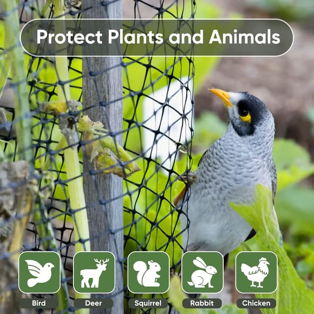Detalle 2 de MAIYADUO Vogelnetz 4 x 5 m