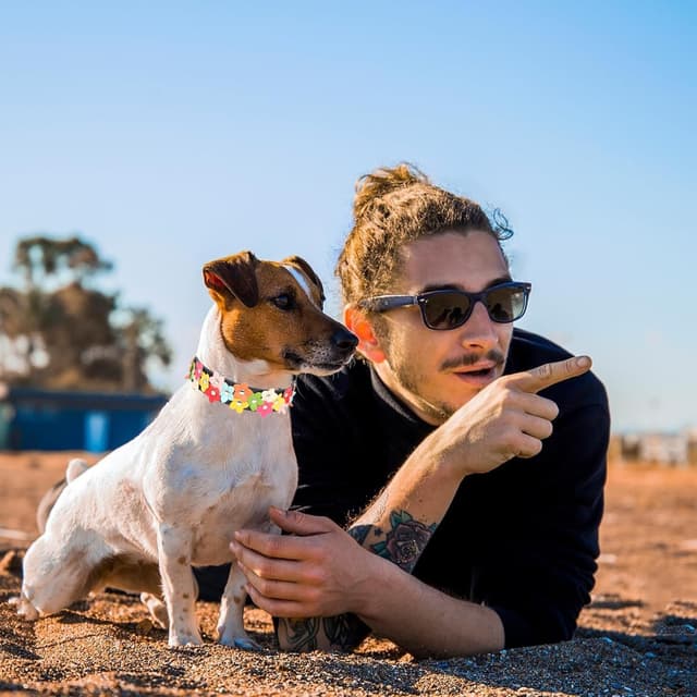 Detalle de Small Dog Collar with Flower