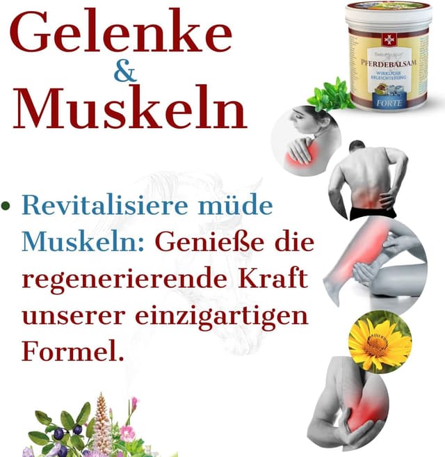 Detalle 2 de SwissMedicus Pferdebalsam mit 500 ml