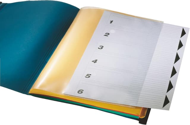 Detalle de Leitz ESSELTE 18900135 carpeta colgante A4 azul