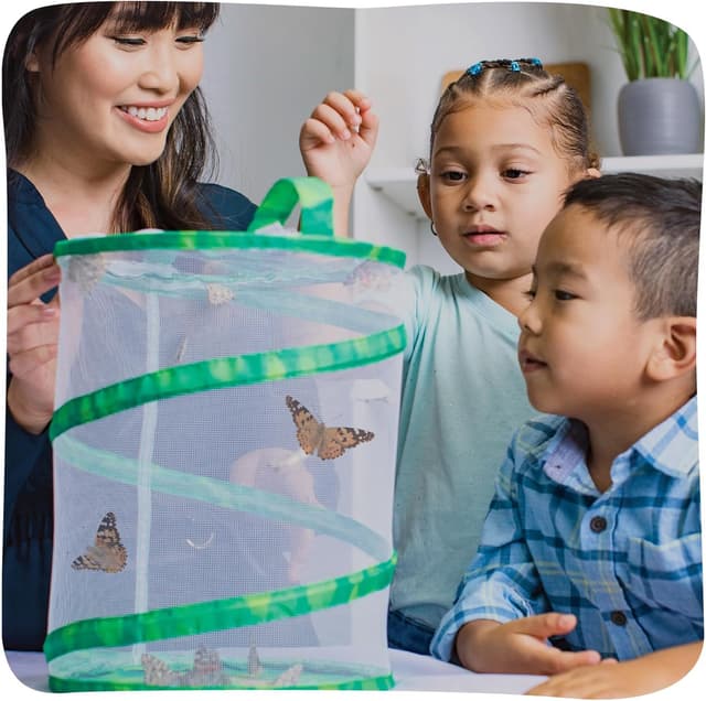 Detalle de Insect Lore The Butterfly Garden kit for live butterflies (growing 5 caterpillars)