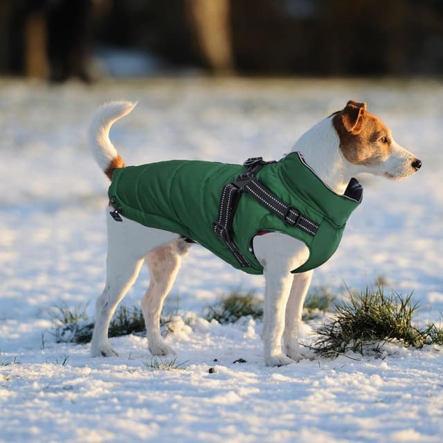 Detalle de babepet Warm Pet Dog Coats with Harness – Waterproof Green Small Dog Jacket Coat (with Chest Strap, Zip Up) – XL