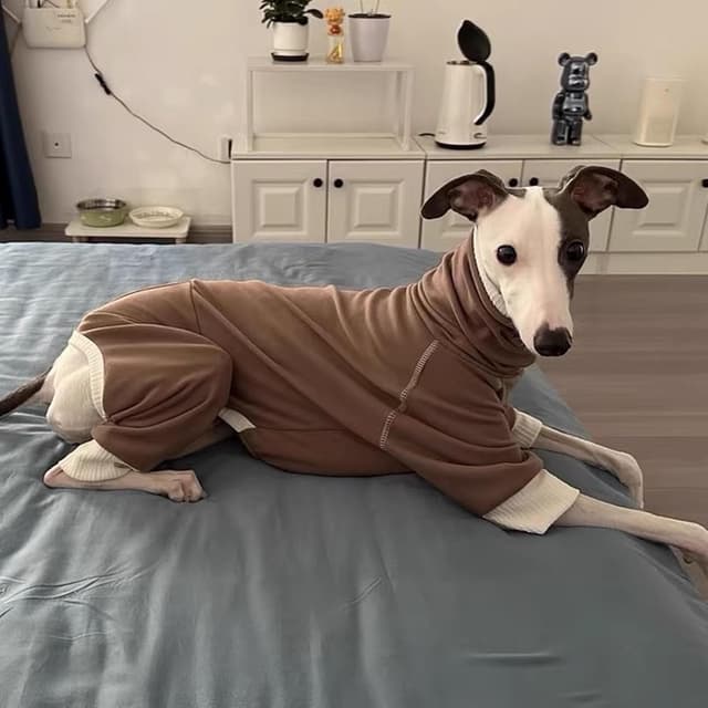 Thumbnail 4 de Greyhound Winter Warm Dog Onesie 2XL Brown