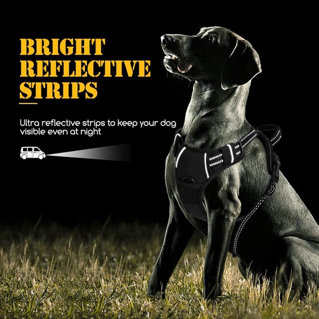 Thumbnail 5 de Nobleza Pettorina cane taglia L regolabile con ganci