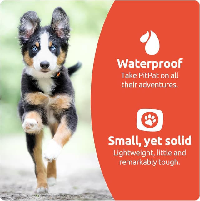 Detalle de PitPat dog activity monitor, no GPS