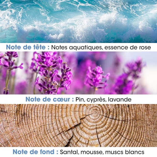 Detalle de Jeanne en Provence Acqua Herrenparfüm Eau de Toilette 100 ml Sprühflasche (hergestellt in Grasse)