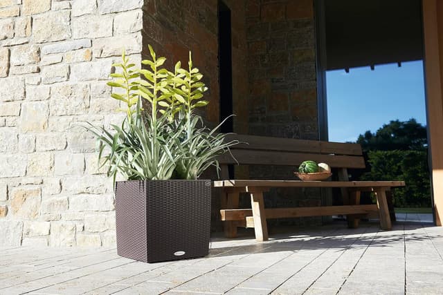 Thumbnail 5 de Lechuza Cube Cottage 40 Pflanzgefäß