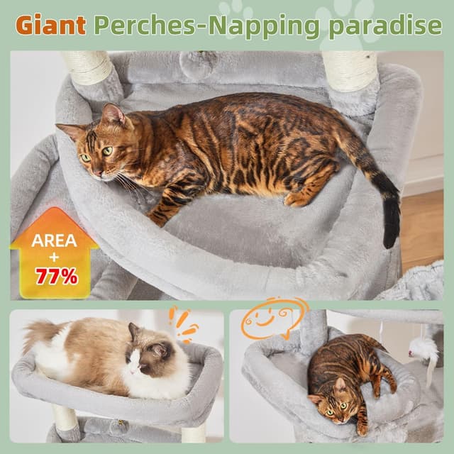 Detalle de Taoqimiao Cat Tree 180cm for big cats