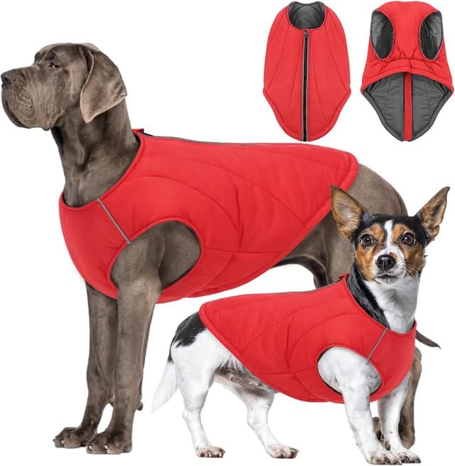 Detalle de CITÉTOILE Hundejacke wasserdichter Hundemantel mit reflektierenden Streifen, Wintermantel mit Reißverschluss (Rot, M)