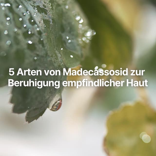 Detalle de Pyunkang Yul Calming Line Set – Calming Deep Moisture Toner, Serum & Barrier Cream