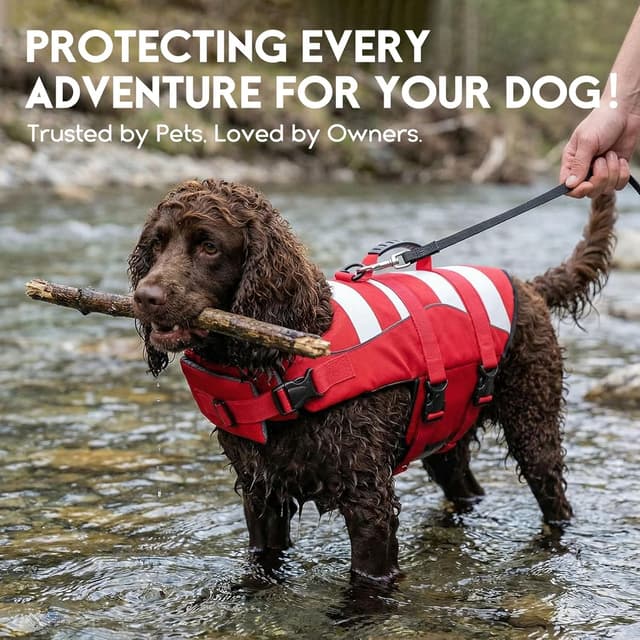 Detalle 2 de ASENKU Hundeschwimmweste Größe L für mittelgroße Hunde – mit Rettungsgriff, verstellbarem Brustgurt & Reflektorstreifen