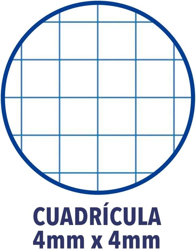 Detalle 2 de Oxford Cuadernos A4 cúadrícula 4x4 80 hojas Pack 5