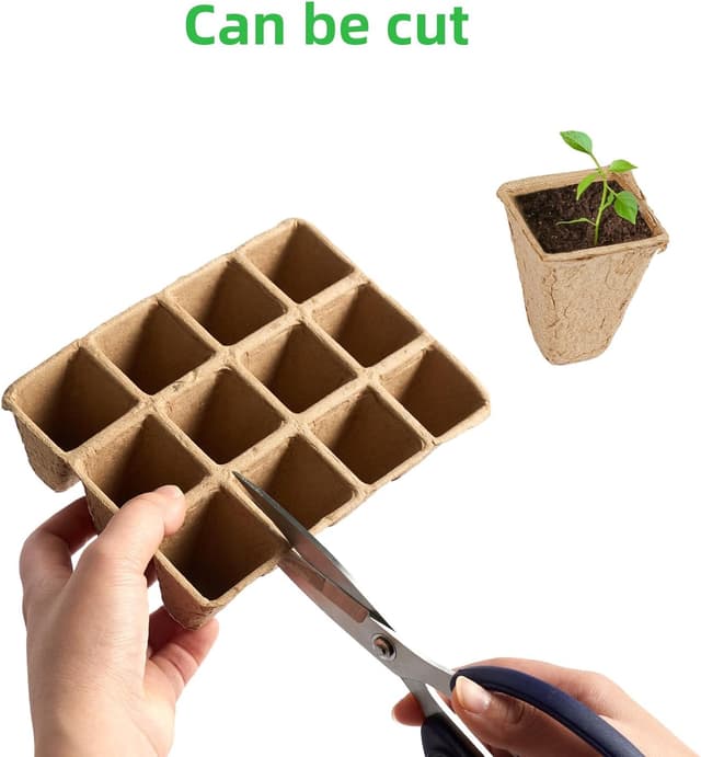 Detalle de Chovbe 240 biodegradable plant pots & seed trays kit with labels