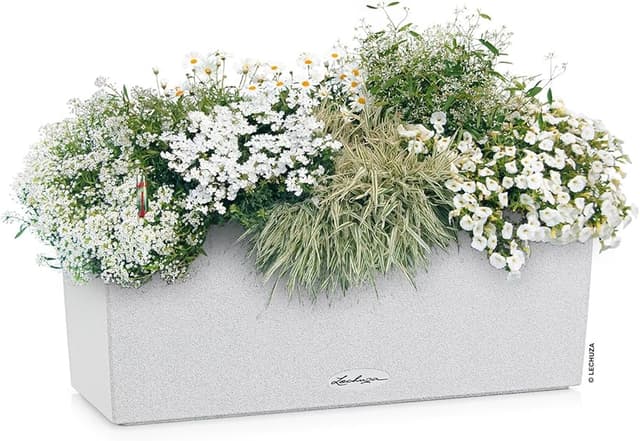 Thumbnail 6 de Lechuza BALCONERA Stone 80 maceta riego automático 79 cm