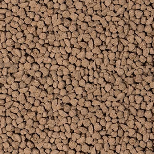 Detalle 2 de BEAPHAR Care+ pienso para conejo 1,5 kg 🐇