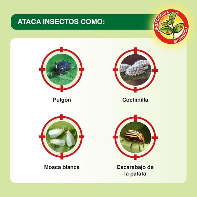 Thumbnail 4 de Protect Garden Sanium insecticida sistémico 250 ml