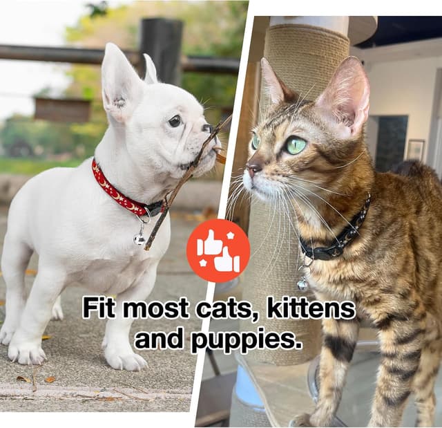 Thumbnail 4 de Collar Gato Antiahogo 21 cm
