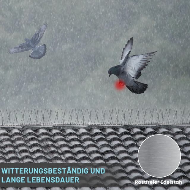 Thumbnail 5 de 5M Pic Anti Pigeon Balcon Acier Inoxydable