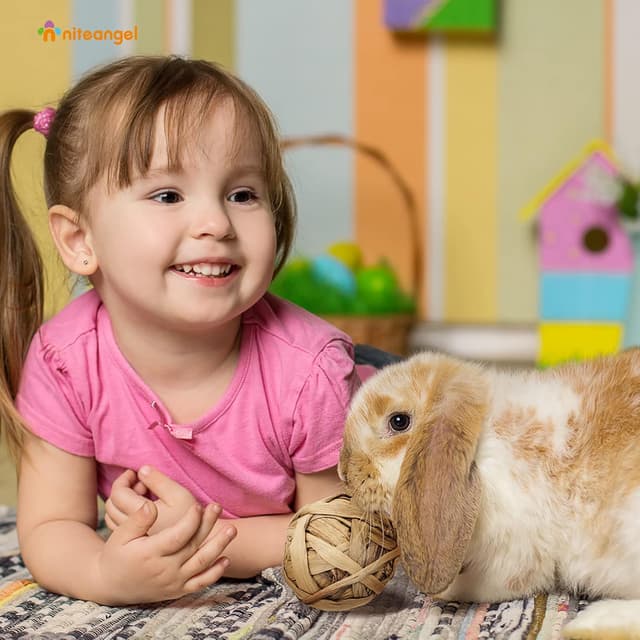 Detalle 2 de Niteangel Natural Chew Activity Toys – 8 Seagrass/Willow Hay Grass Balls for Rabbits, Guinea Pigs, Chinchillas & Small Rodents