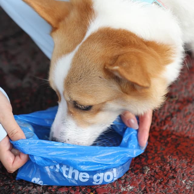 Thumbnail 6 de Hundekotbeutel biologisch abbaubar mit Henkel & Iris-Duft – 360 Stück (30 Rollen) für Hundespaziergänge