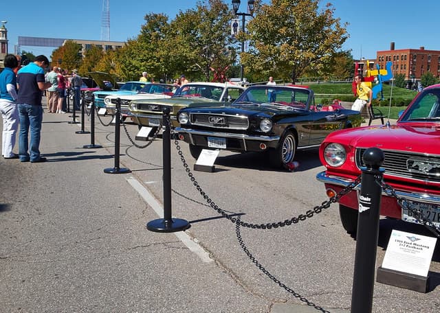 Thumbnail 1 de Mr. Chain 25ft Plastic Barrier Chain, 1" Link 🪢