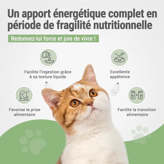 Detalle de RECOACTIV Recovery Immunitaire pour Chats (3 x 90 ml) — alimentation diététique complète pour convalescence et prise de poids