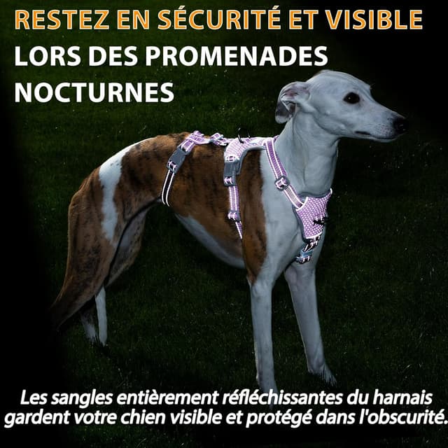 Detalle de Huntboo Harnais anti-fugue réfléchissant pour chien (lavande pourpre, S) – anti-traction réglable