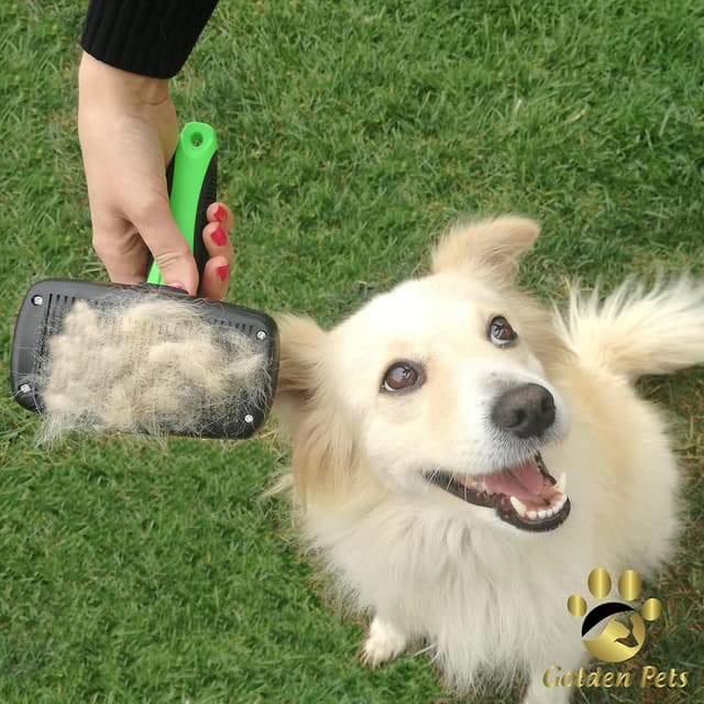 Thumbnail 5 de Golden Pets Selbstreinigende Bürste 1-Sekunden Reinigung