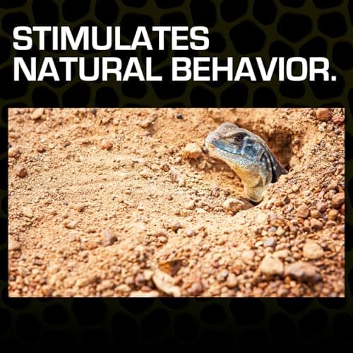 Thumbnail 4 de Exoterra Arena del Desierto 4,5 kg 🐾