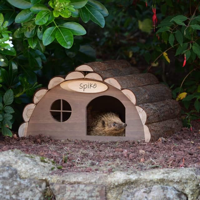 Imagen de CKB LTD Wooden Hedgehog or Guinea Pig House 33.5 x 34 x 19cm 🐹 en OfertitasTOP