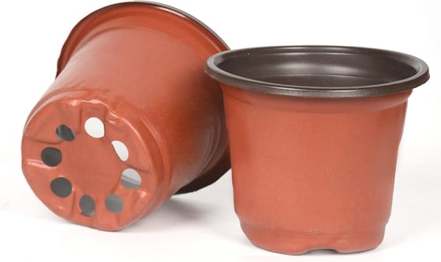Detalle de Cymax plant nursery pots 10cm, 100 pack