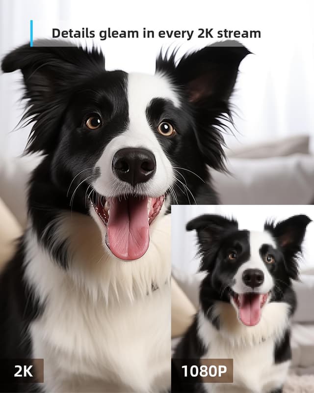 Thumbnail 4 de blurams 2K 360° Indoor Camera for Home Security