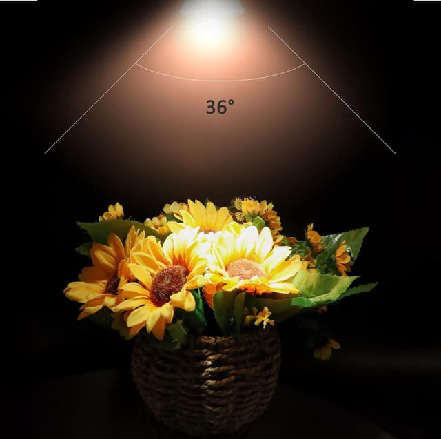 Detalle de Caldarax 8er Set MR16 GU5.3 35W Halogenstrahler 12V dimmbar, 2700K warmweiß (400 lm, 36°)