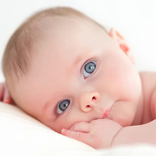 Thumbnail 5 de Lana cruda orgánica 100%