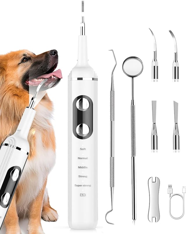 Thumbnail 6 de Wagner Stern Plaque Remover for Teeth