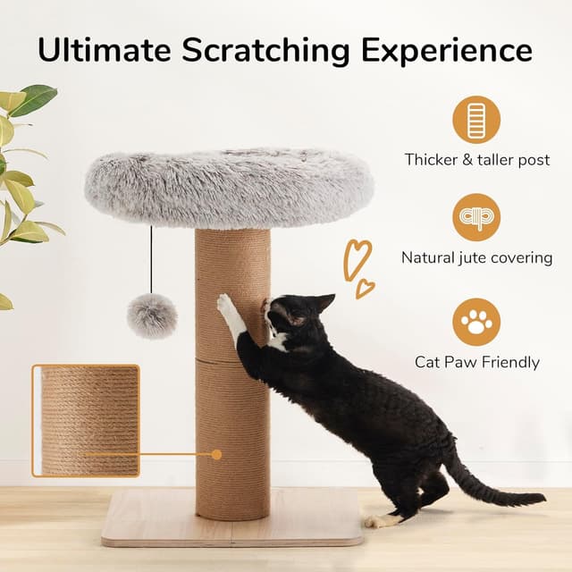 Thumbnail 2 de FUKUMARU Cat Scratching Post with Bed 53 cm 🐾