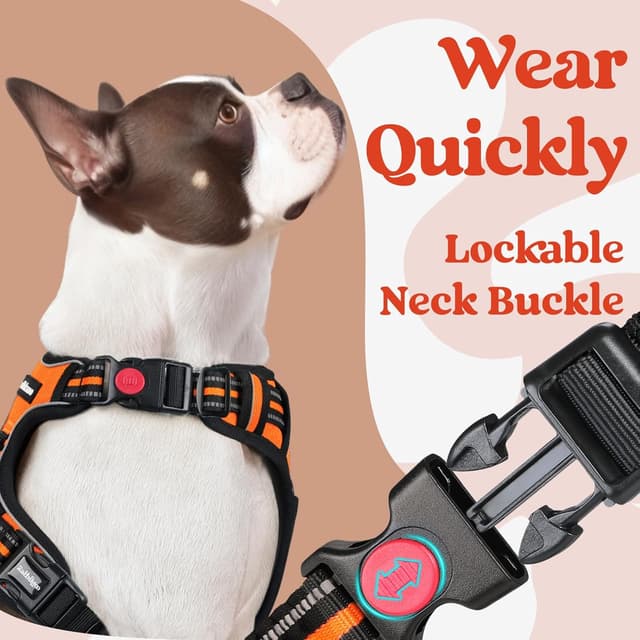 Detalle 2 de rabbitgoo Dog Harness (Medium, M) with Neck Release Buckle and Front/Back Clips – Orange