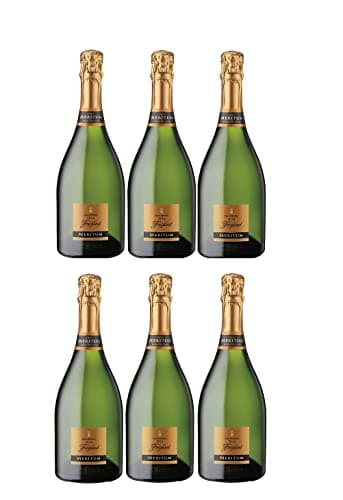 Detalle 2 de Freixenet Meritum cava 6 botellas 4.500 ml 🍷