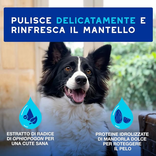 Detalle de DOUXO Skin & Coat SPA mousse detergente 150 ml