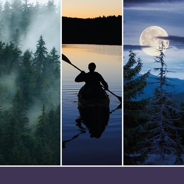 Detalle 2 de Yankee Candle Studio Vela mediana noche de verano — 35–50 h 🕯